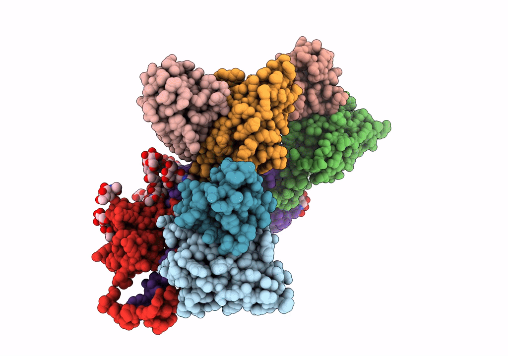 7T6X image