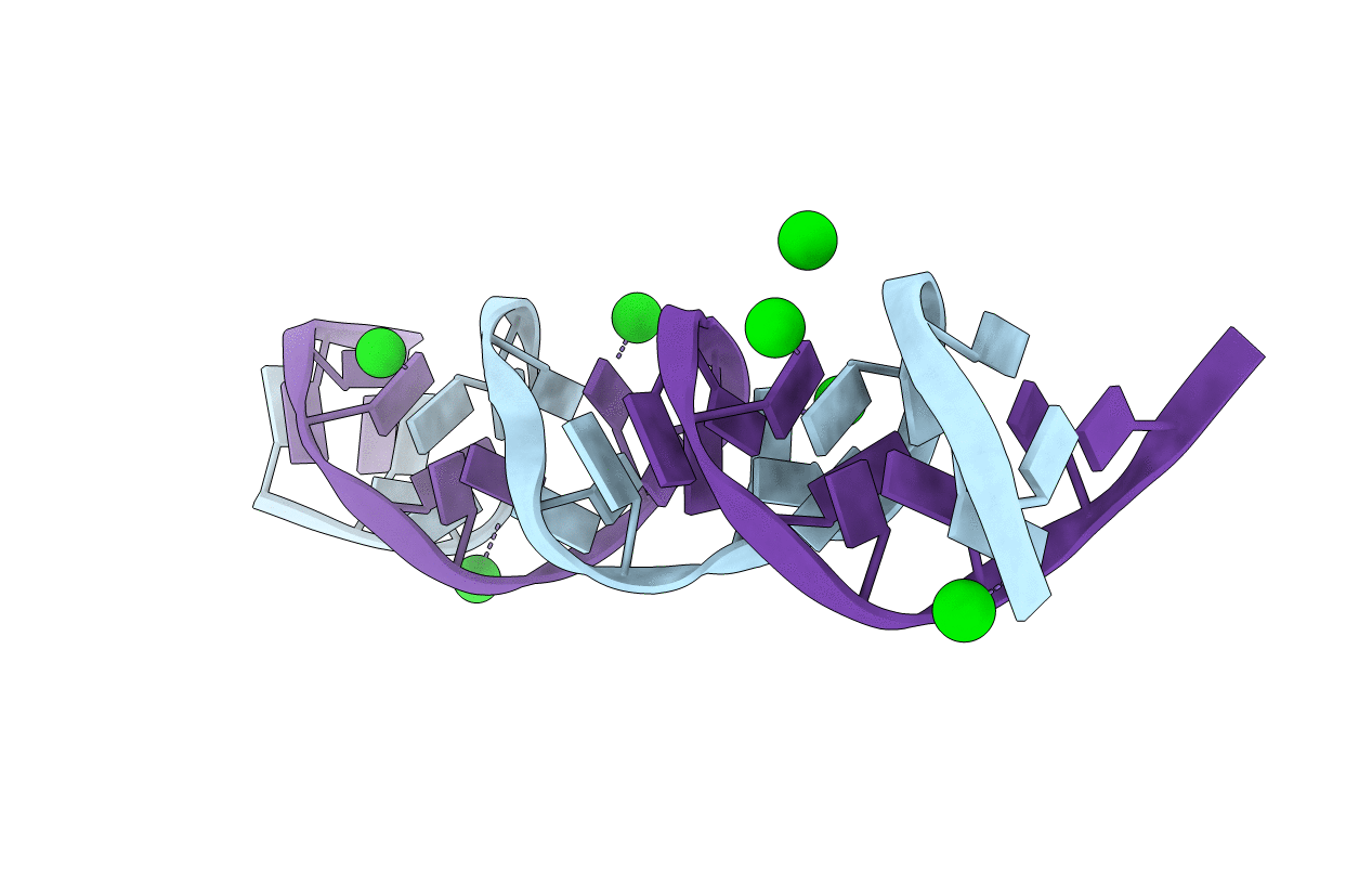 7T6Y image