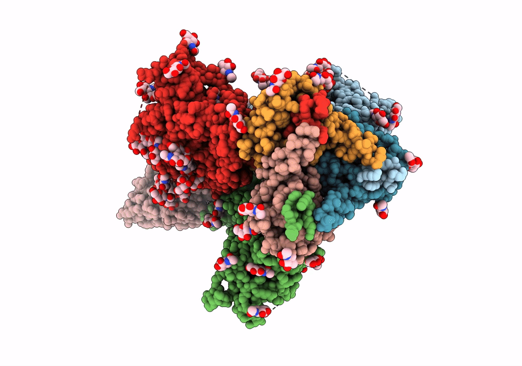 7T76 image