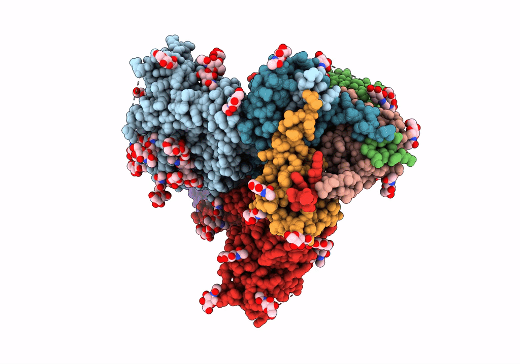 7T77 image