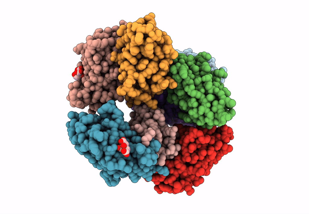 7T83 image