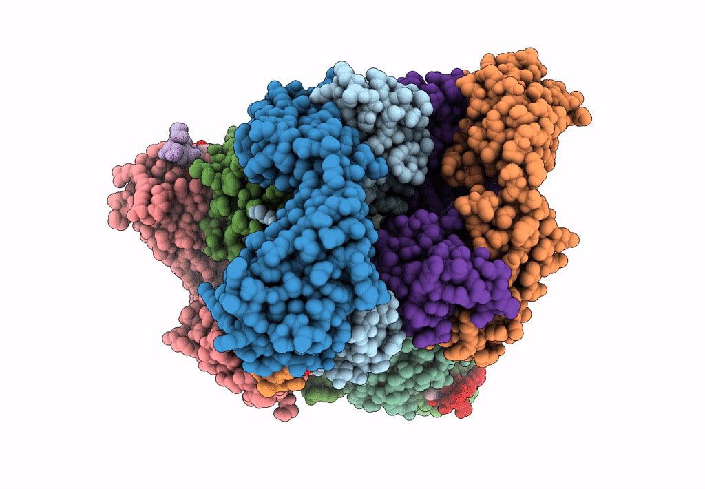 7T86 image