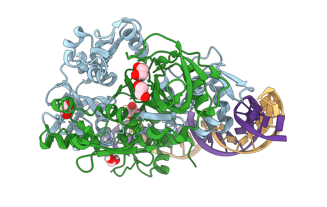 7T8K image
