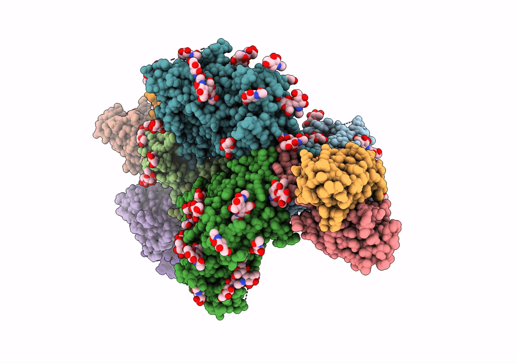 7T9A image