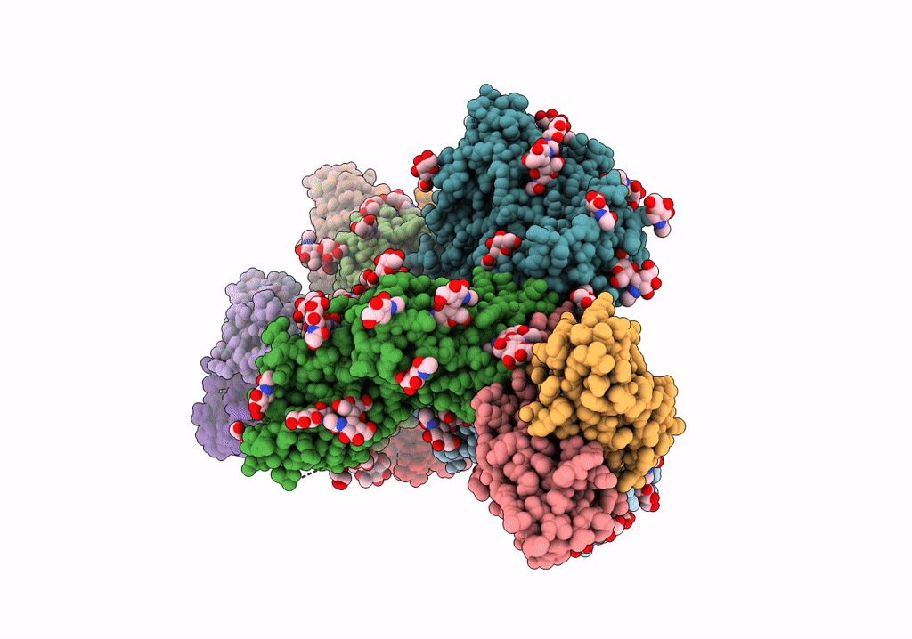 7T9B image
