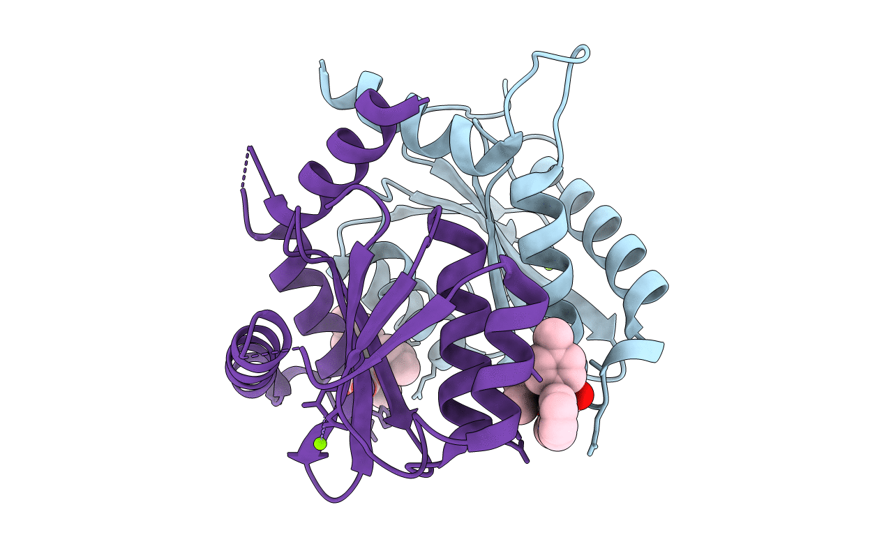 7T9H image