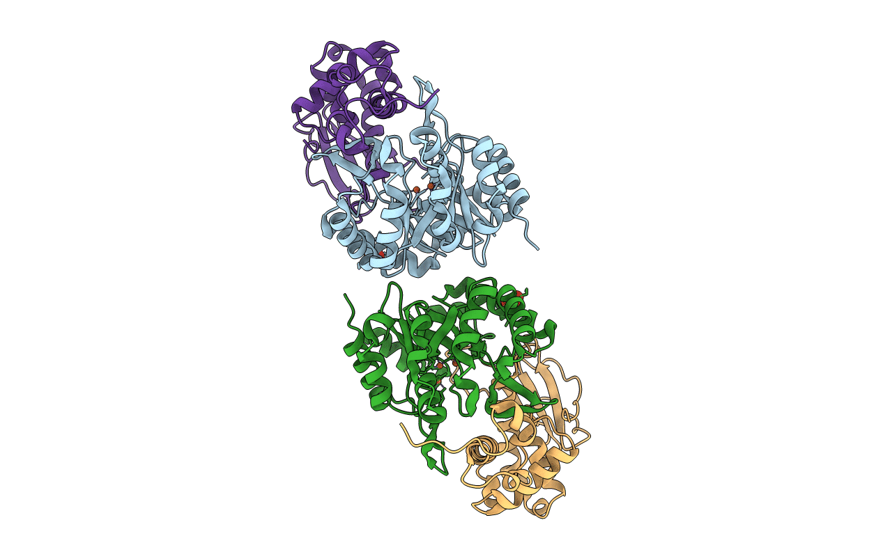7TCX image