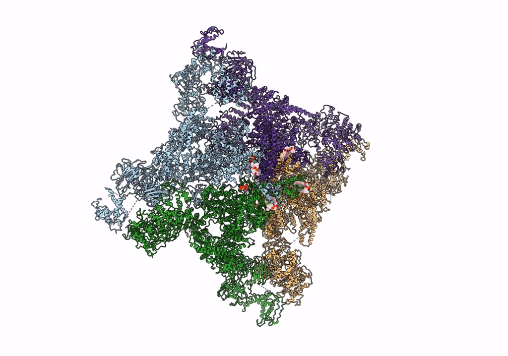 7TDG image