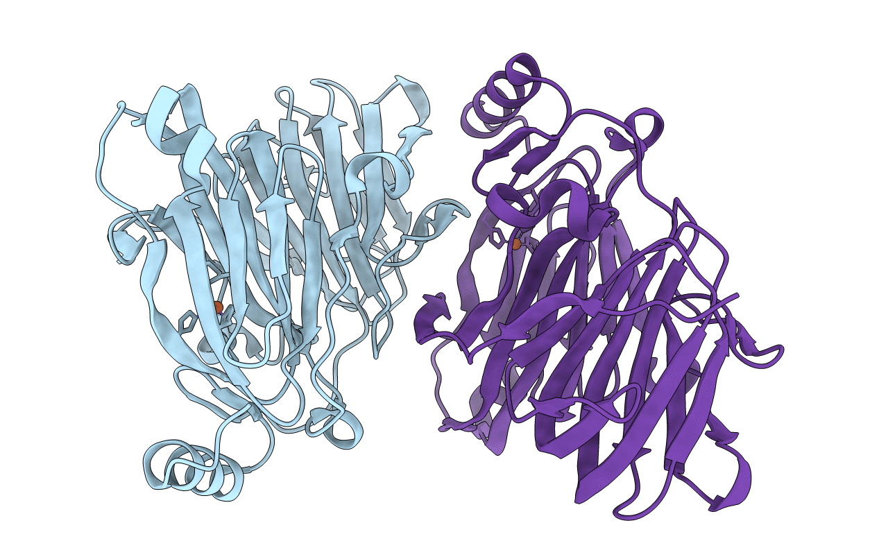 7TG5 image