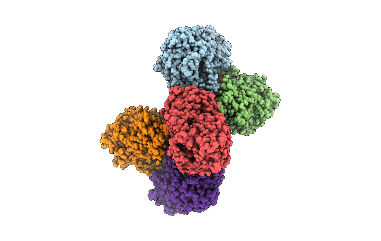 7TGL image