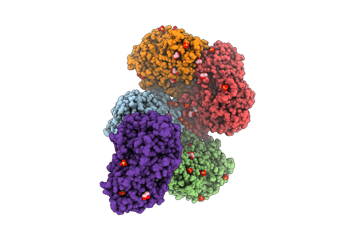 7TGM image