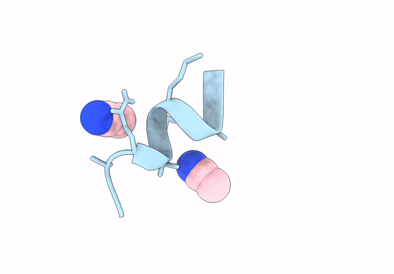 7TMA image