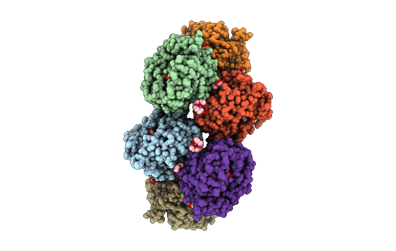 7TMB image