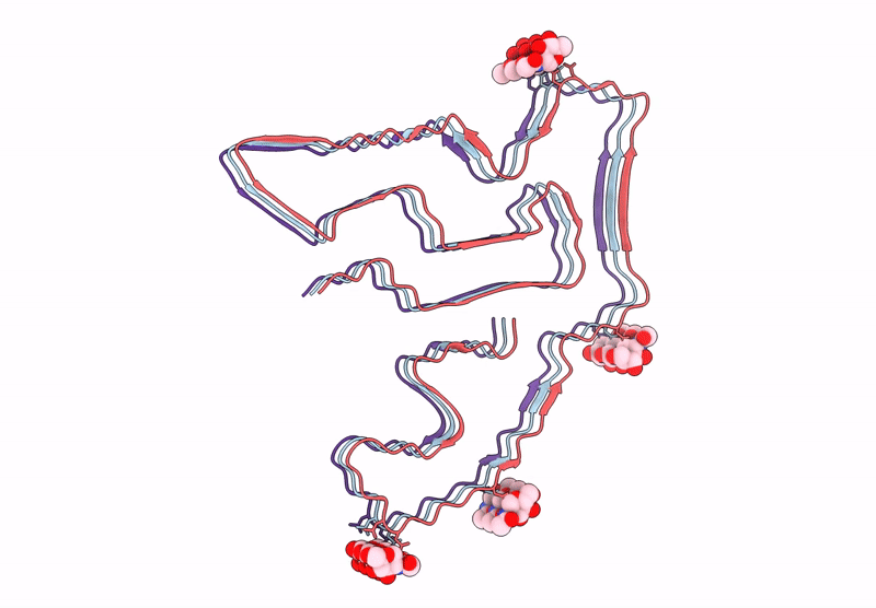 7TMC image