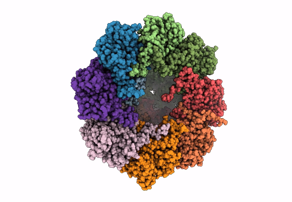7TRG image