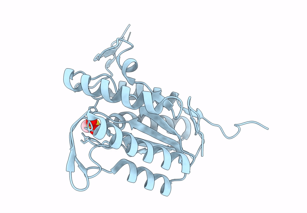 7TRR image