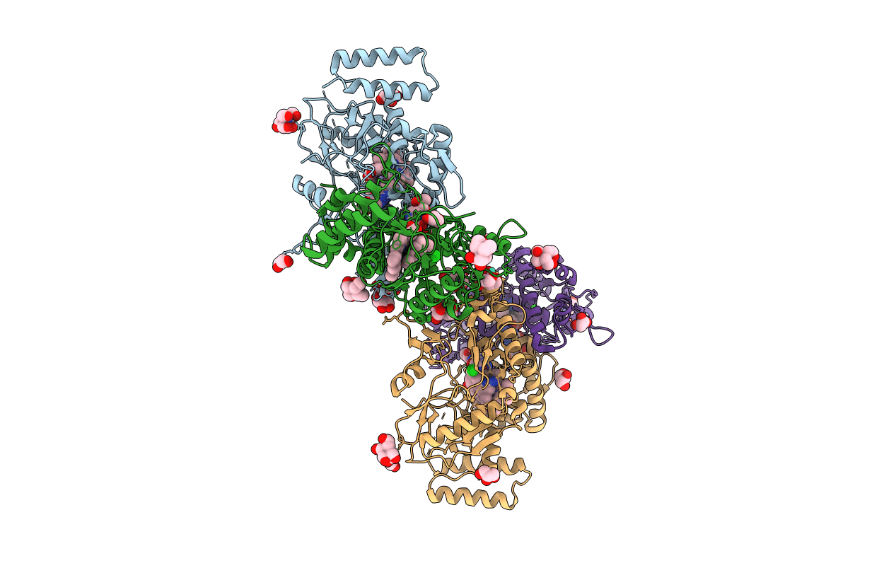 7TSI image