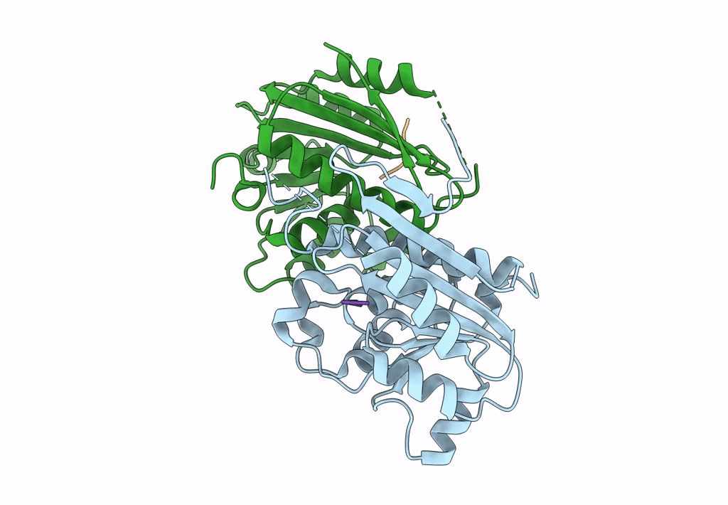 7TSX image