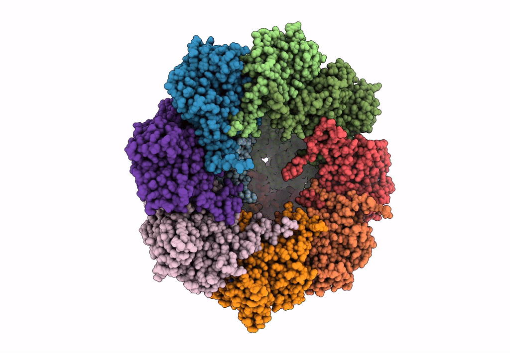 7TTN image