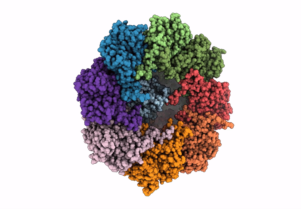 7TUB image