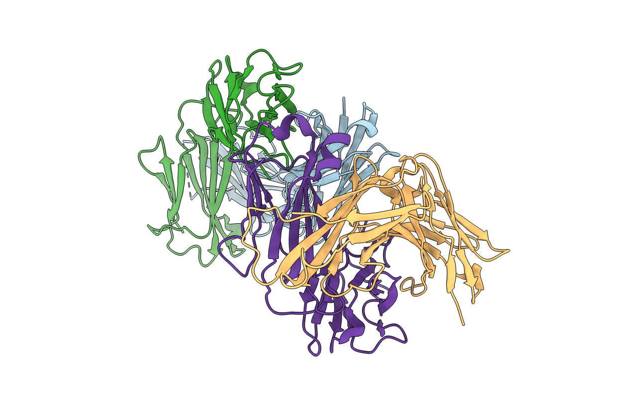 7TUH image