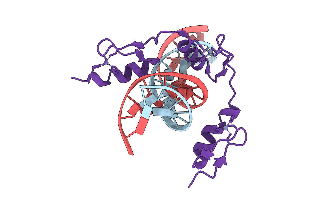7TXC image