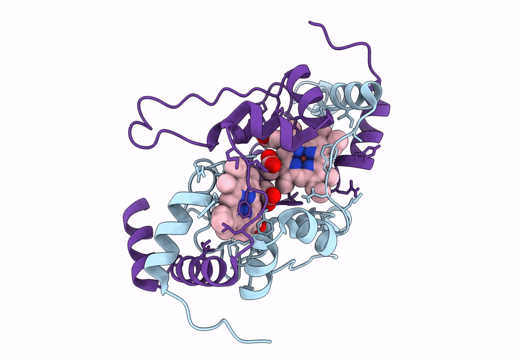 7TXE image