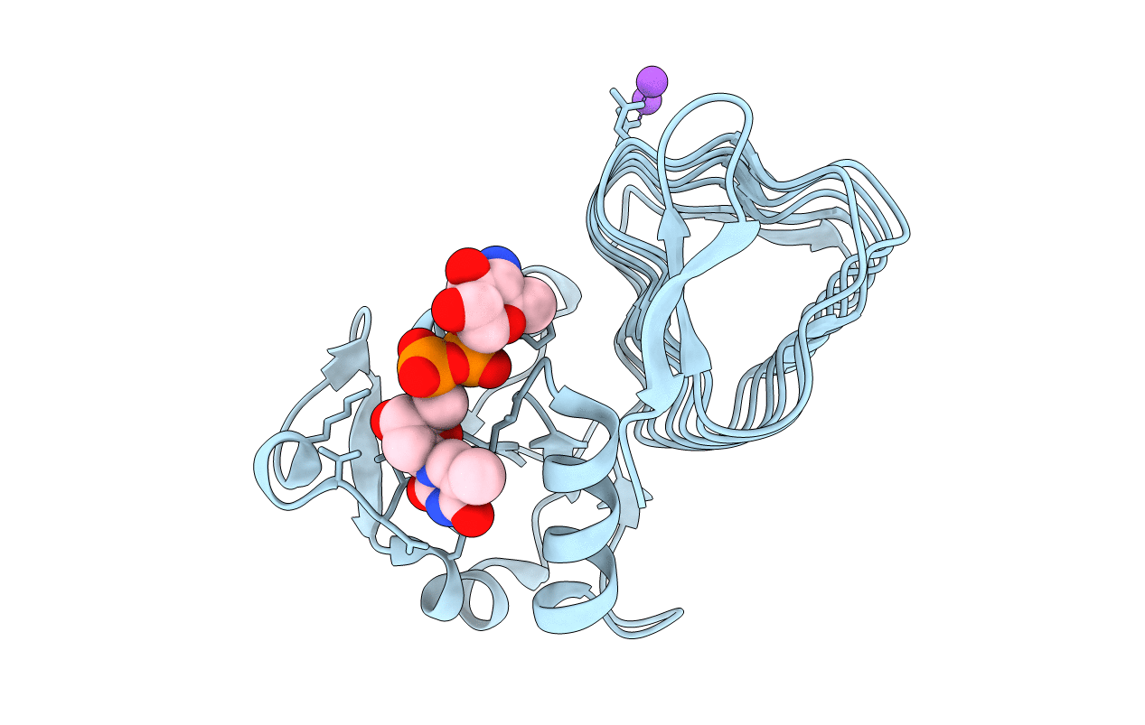 7TXP image