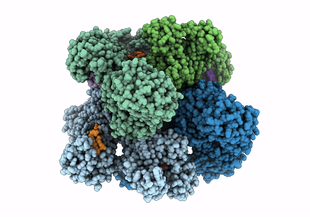 7TXU image