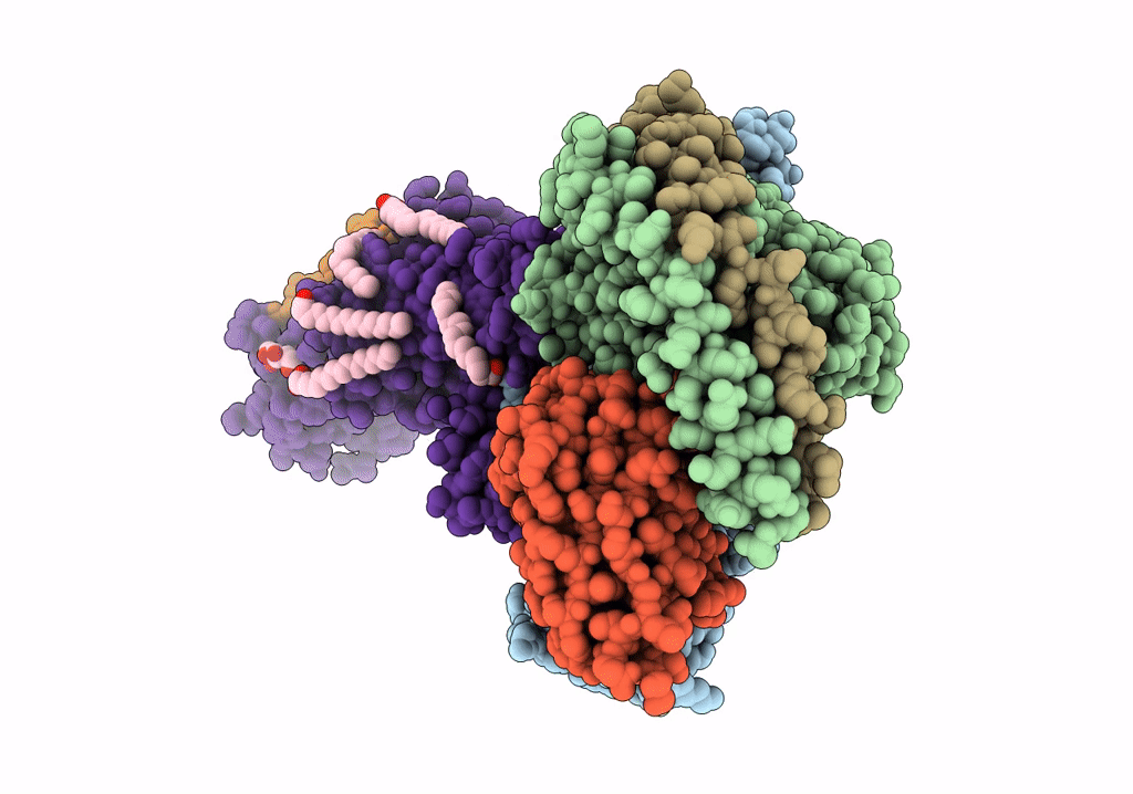 7TYI image