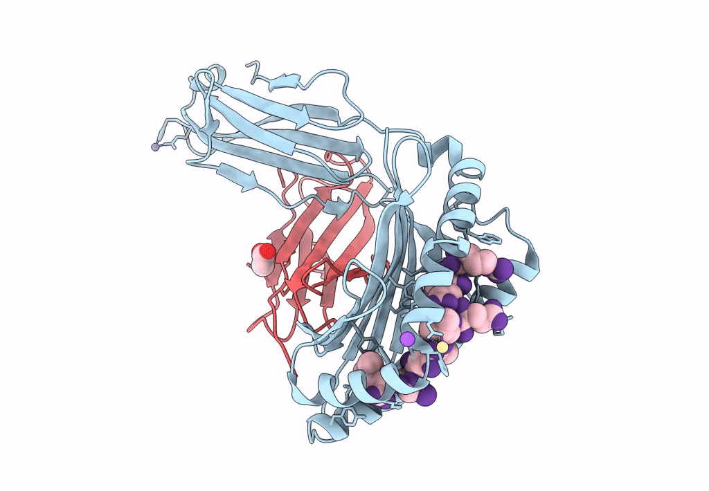 7U1R image