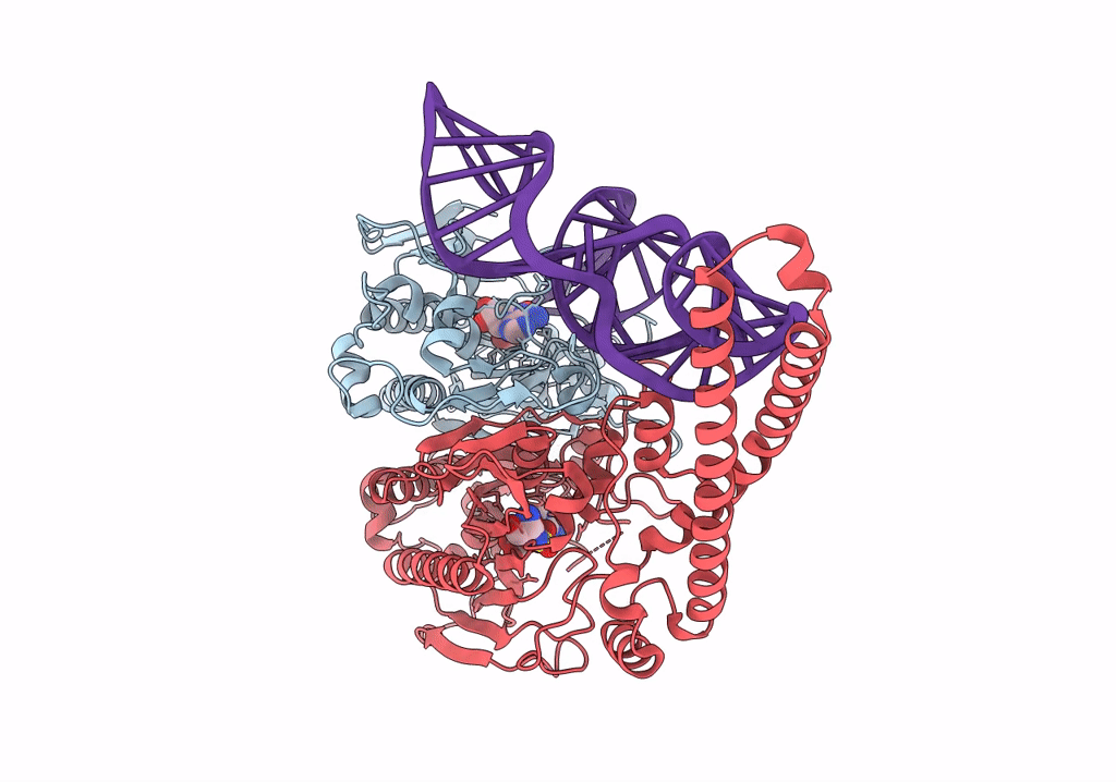 7U2B image