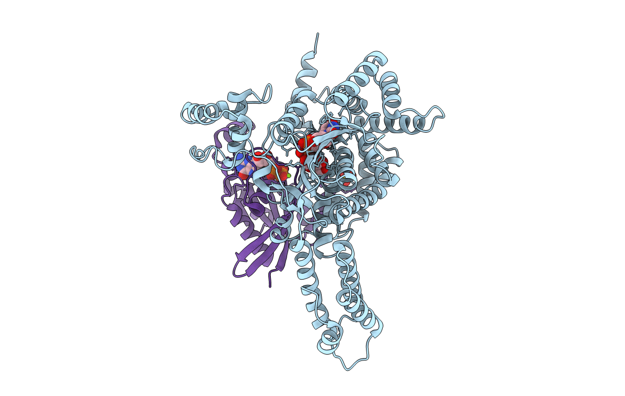 7U2P image