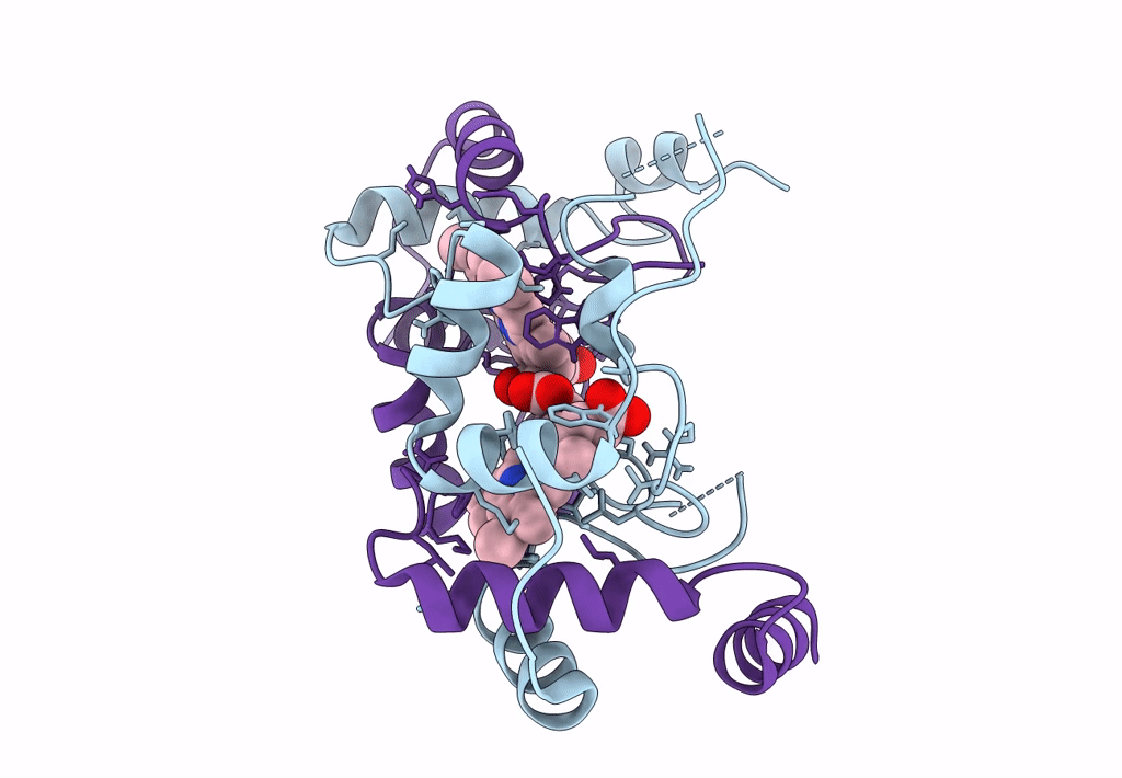 7U2V image