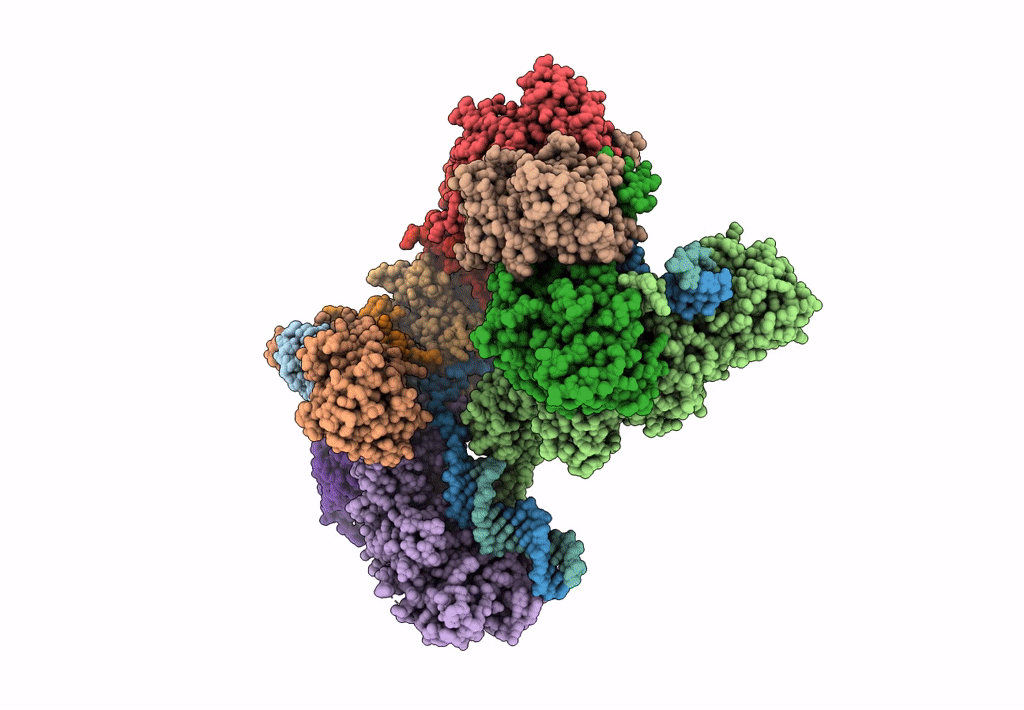 7U5D image