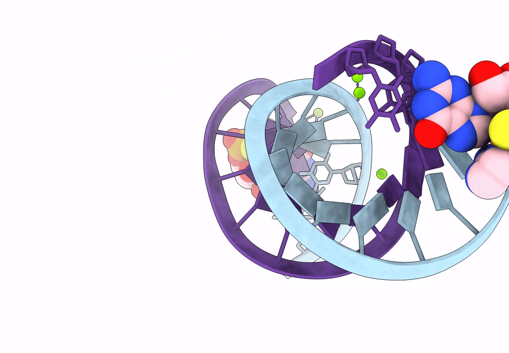 7U8A image