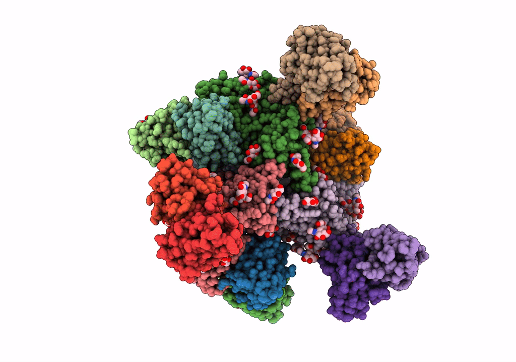7UCG image