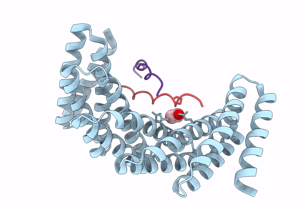 7UDL image