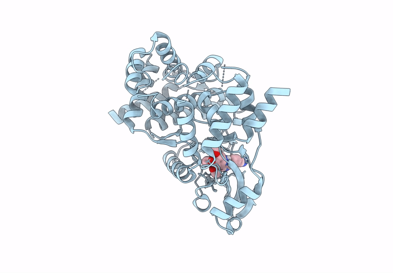 7UDP image