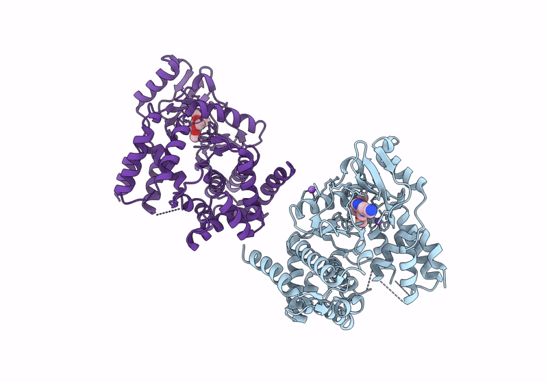 7UDQ image