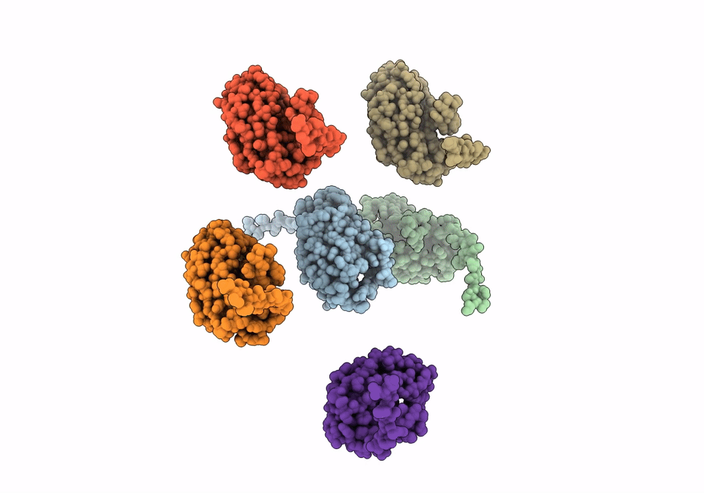 7UEG image