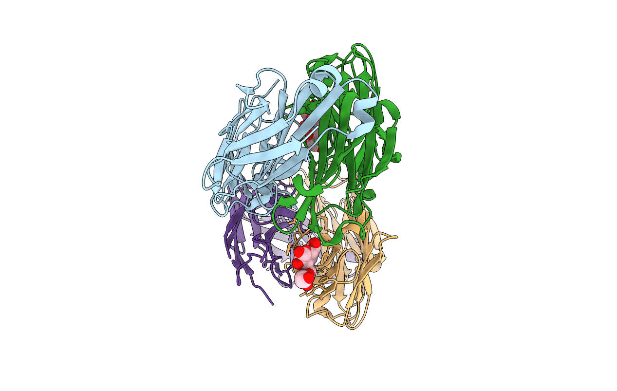 7UEM image