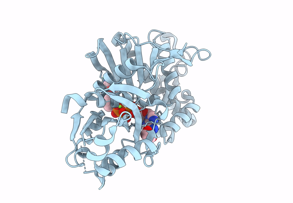 7UEP image