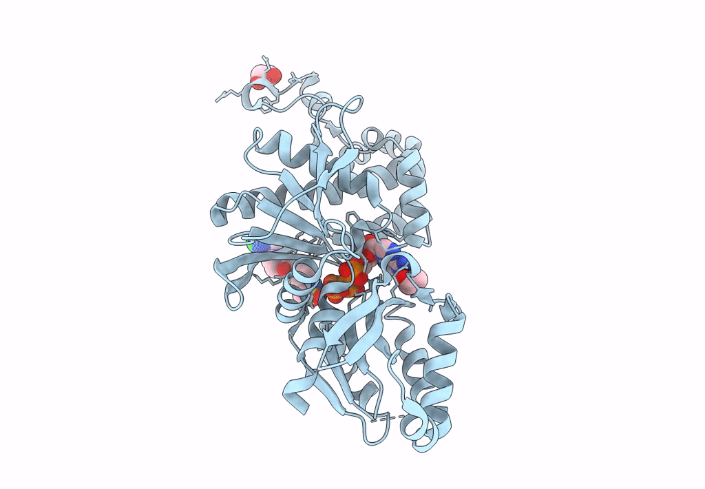 7UET image