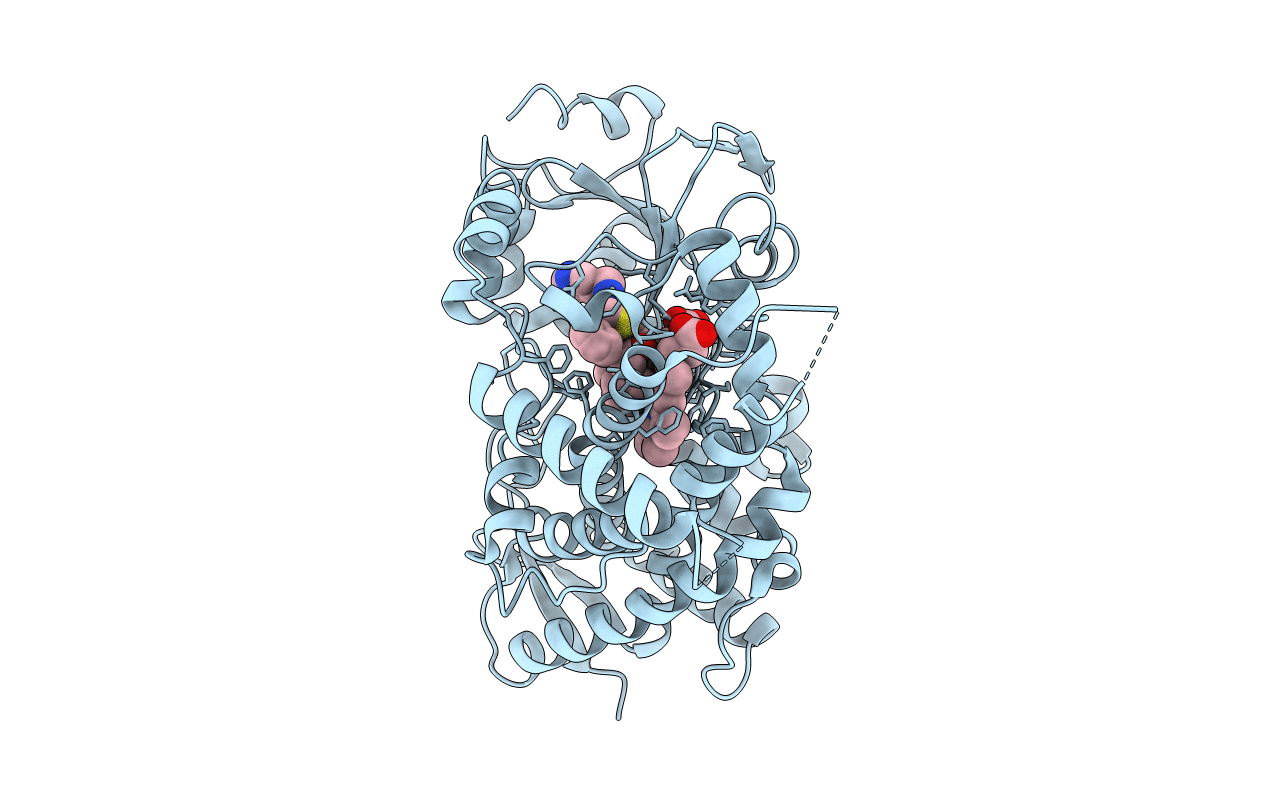 7UFB image