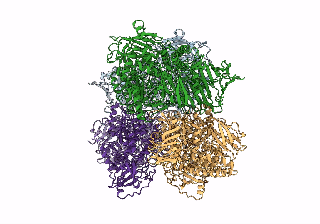 7UFT image