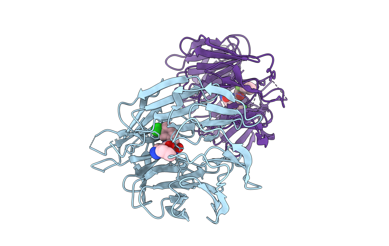 7UFV image