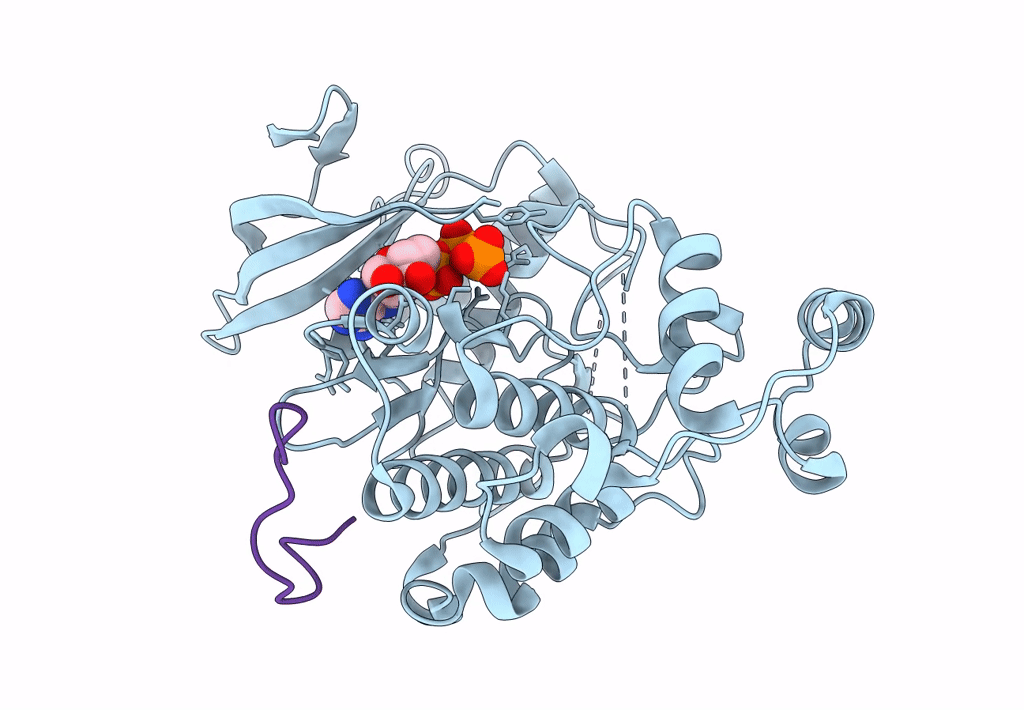 7UGB image