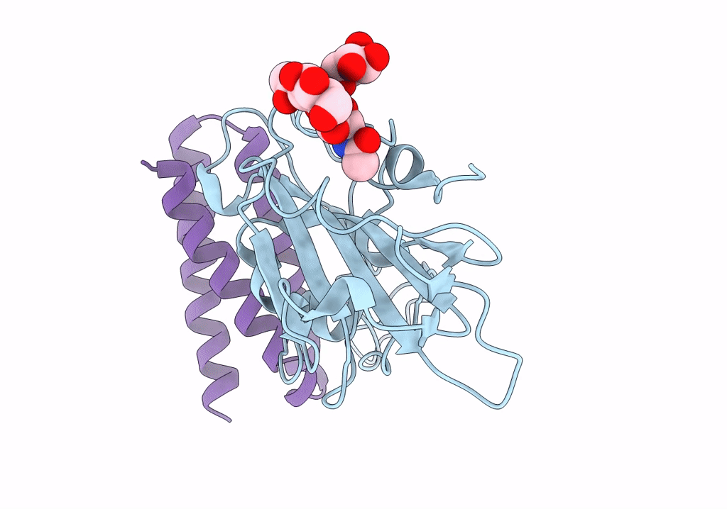 7UHB image