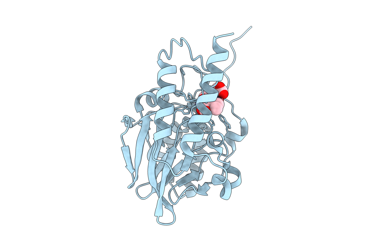 7UHI image